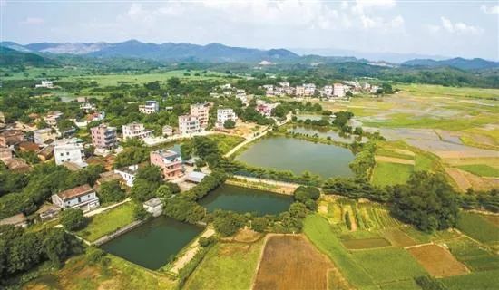 惠城橫瀝蔗埔村:匯聚四處文保單位,打造旅遊休閒勝地