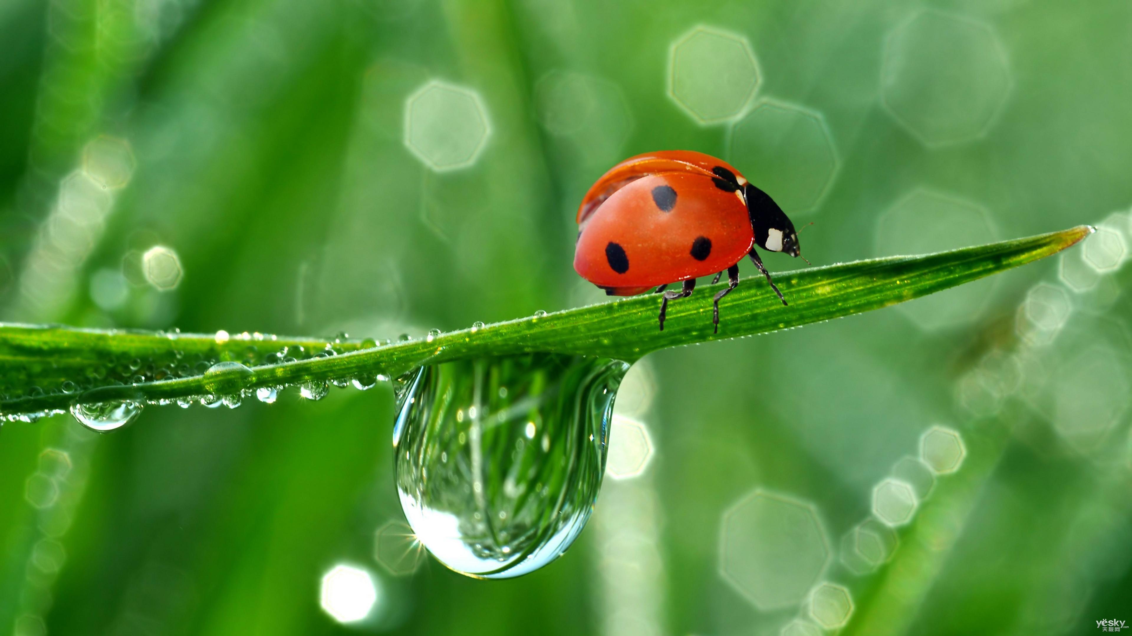 python精选电子书目录(一)