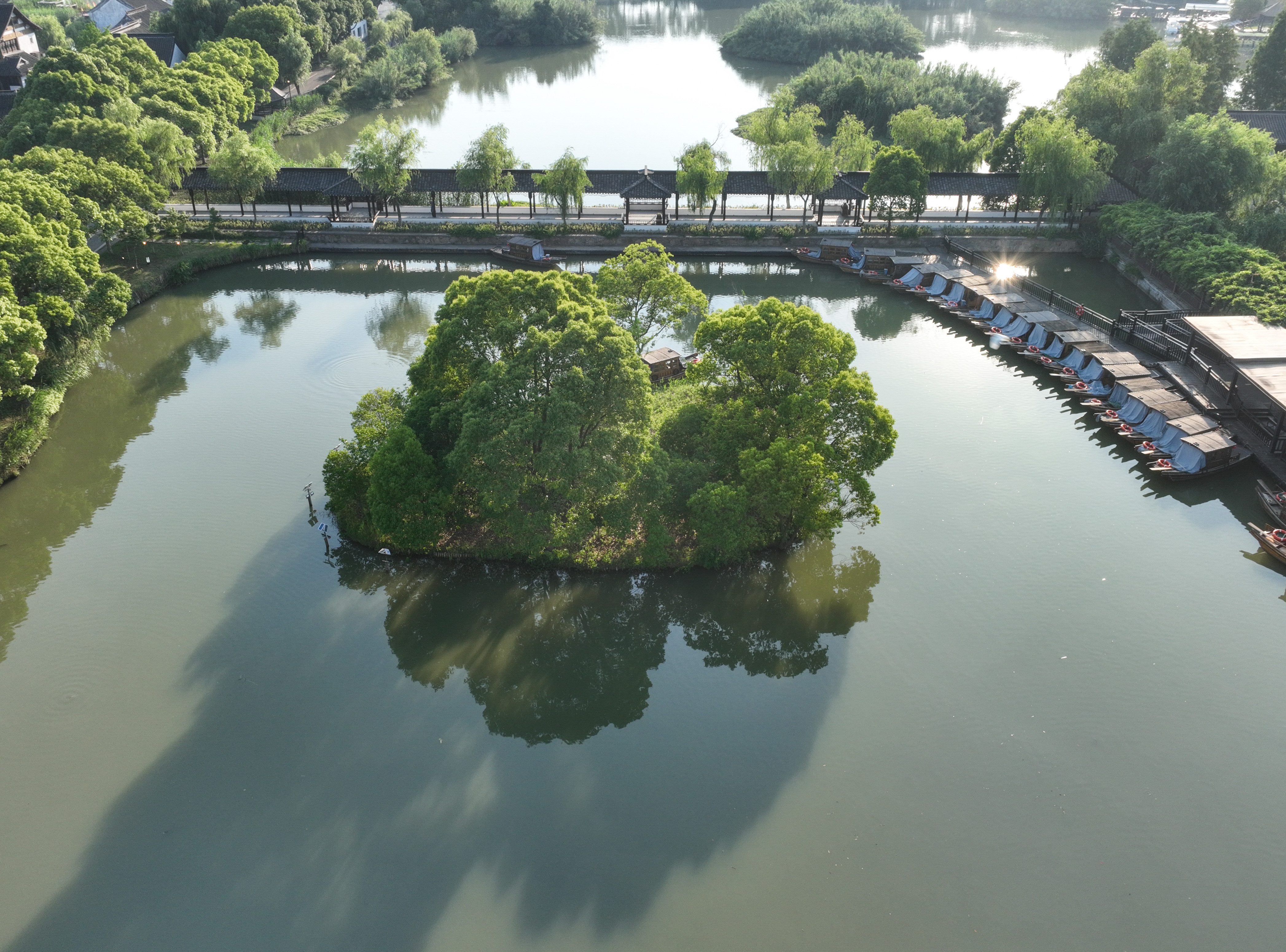 (美丽中国)夏日沙家浜