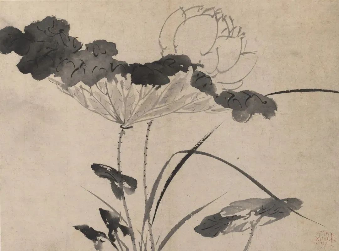 芙蓉面与不染心:古人笔下的荷 欣赏