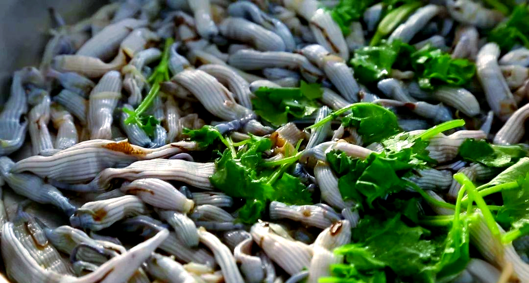 北海泥虫:海鲜市场的独特美味,你尝了吗