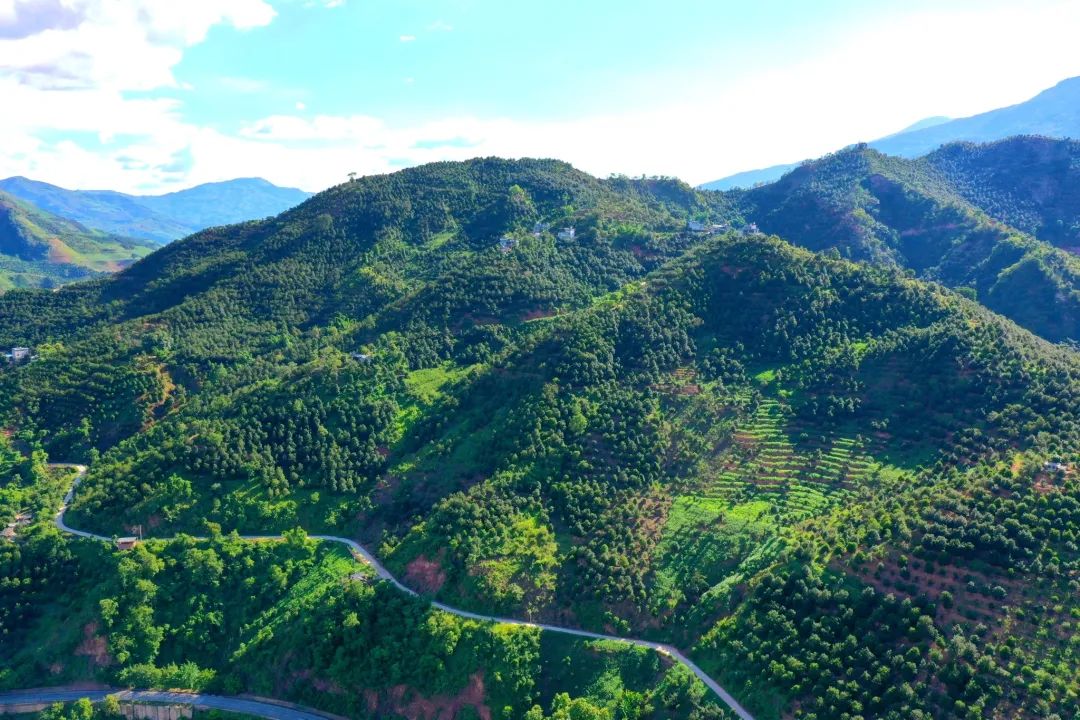 一线动态 | 临沧市永德县:念好"三字经" 写好生物多样性保护文章