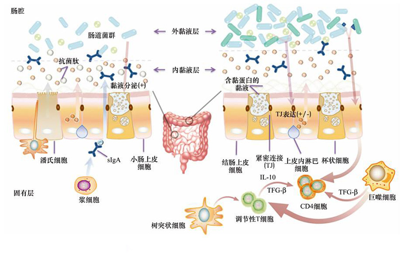 微循环堵塞的危害,微循环不通怎么办,五种改善微循环方法告诉你