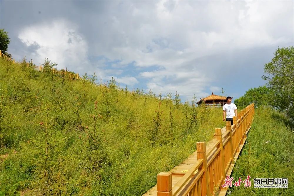 陇西文峰镇桦林村风光旖旎