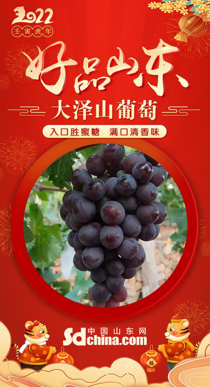 好品山东大泽山葡萄:入口胜蜜糖满口清香味