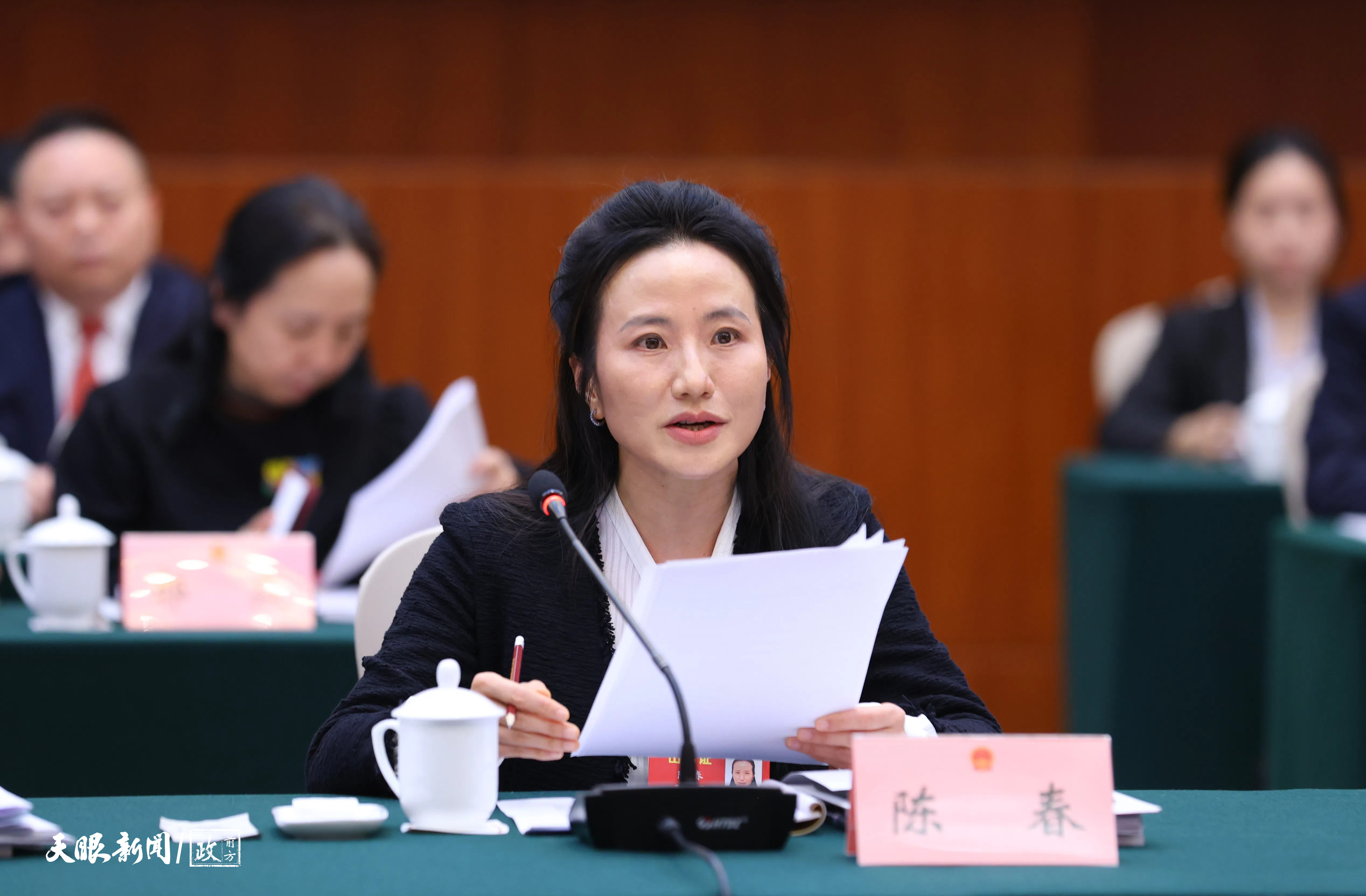 陈春代表:做好数字经济这道"算数题"