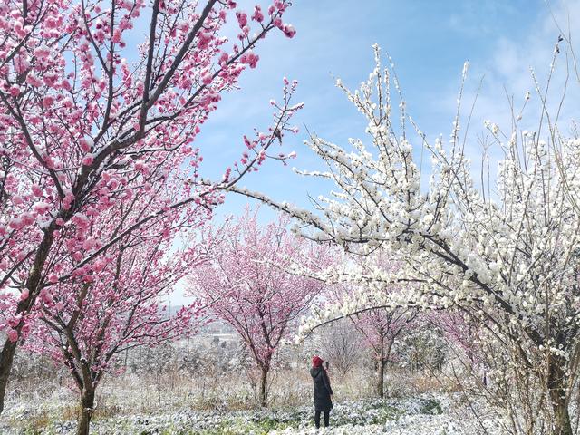宣威小庙山:野趣十足
