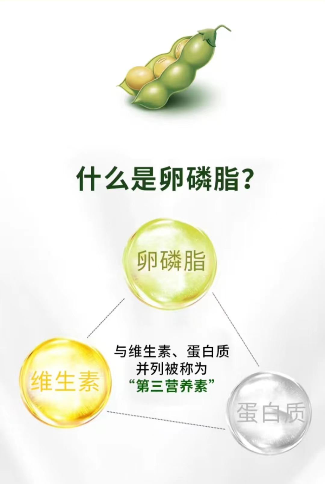 大豆卵磷脂的作用和效果