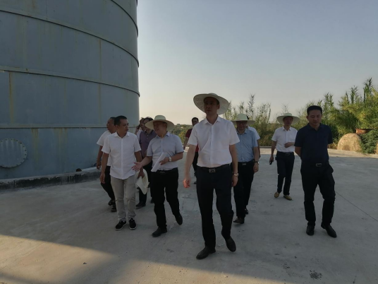 衡阳县人民政府县长孙浩督导调度"利剑"专项行动