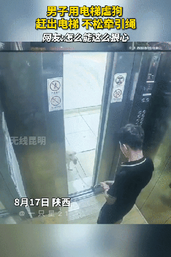 "残忍虐狗事件曝光:这样的人还有人性吗?