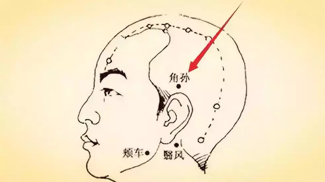 面部三焦经图片