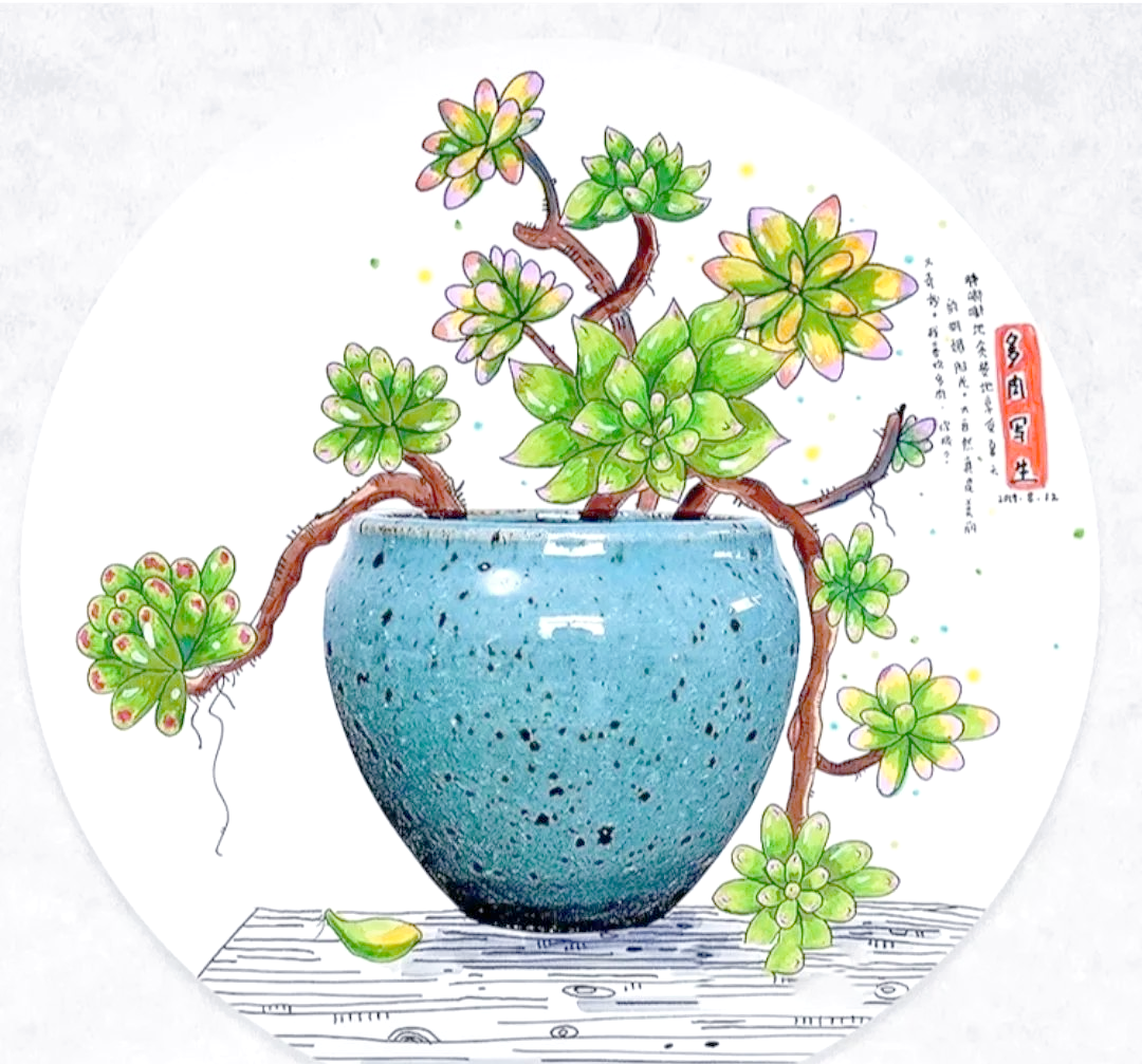 植物写生技巧与作品欣赏