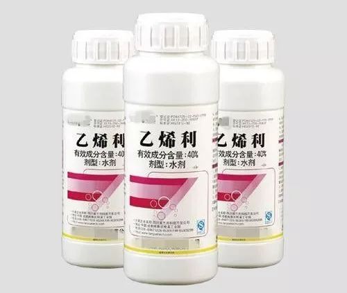 植物生长调节剂的使用——乙烯利