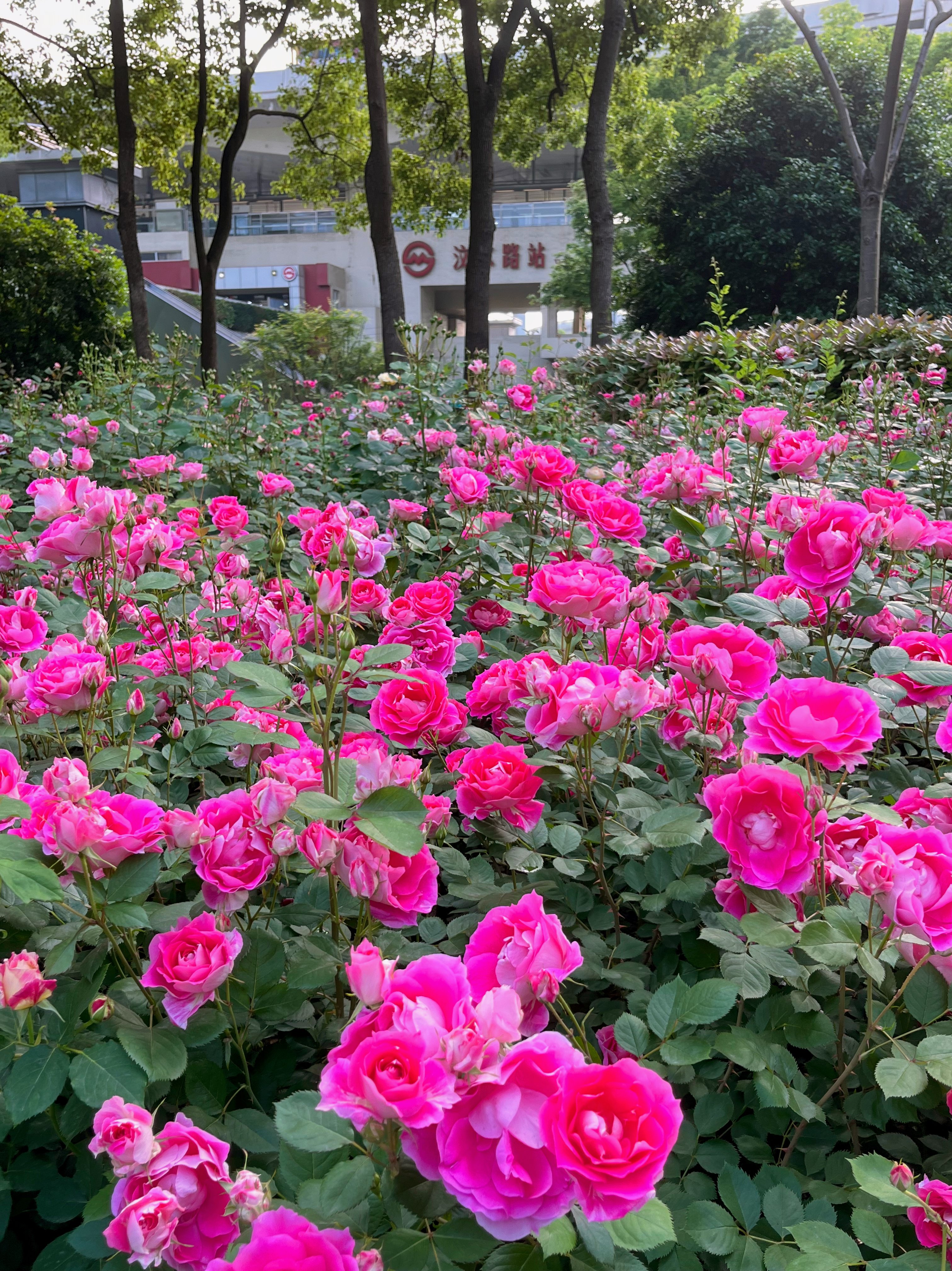 汶河车站景点图片