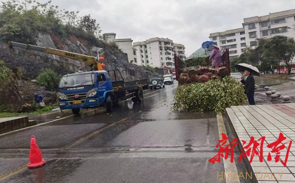 喜迎二十大·全域文明创建在行动丨凤凰县吉信镇:推进人居环境整治