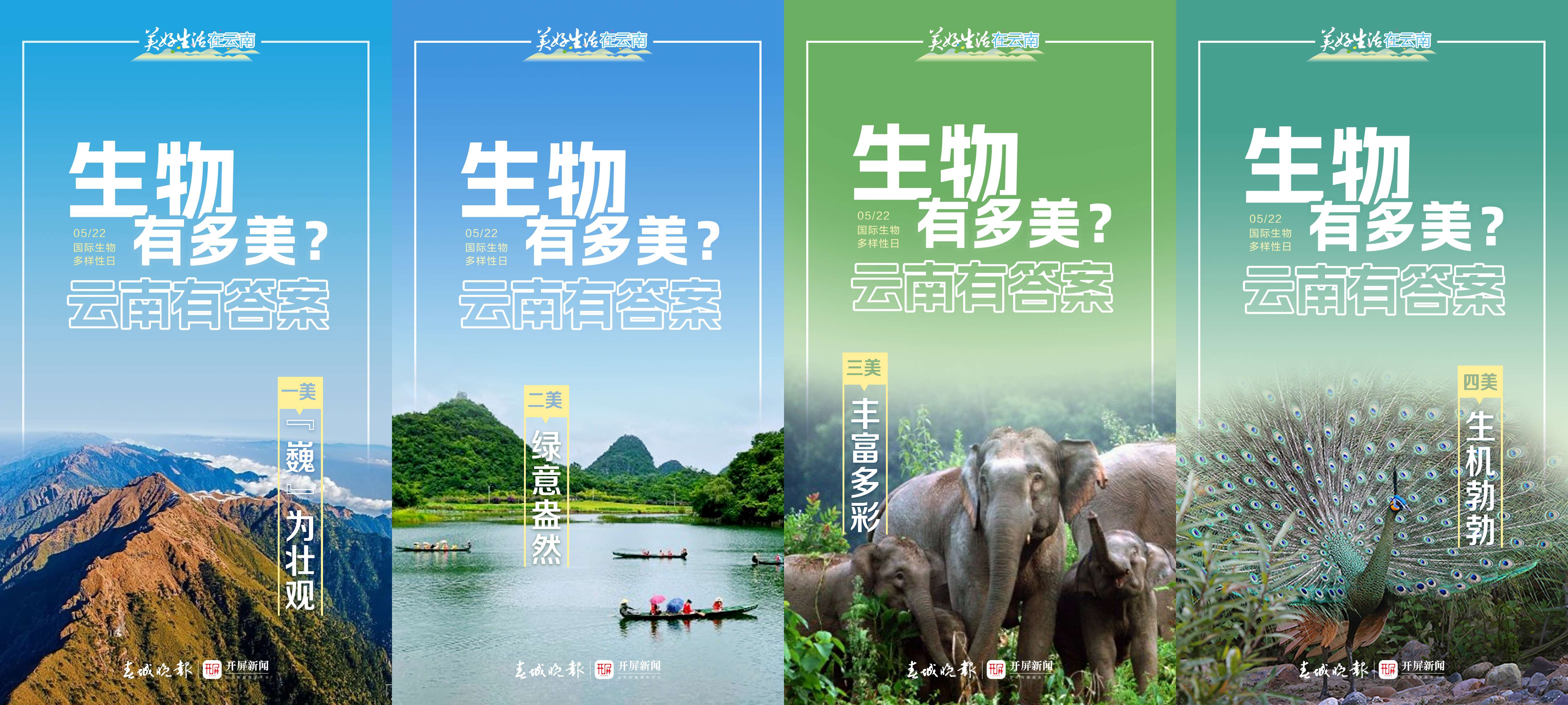 我猜你现在正在喝茶,不信点进来看看丨周一见