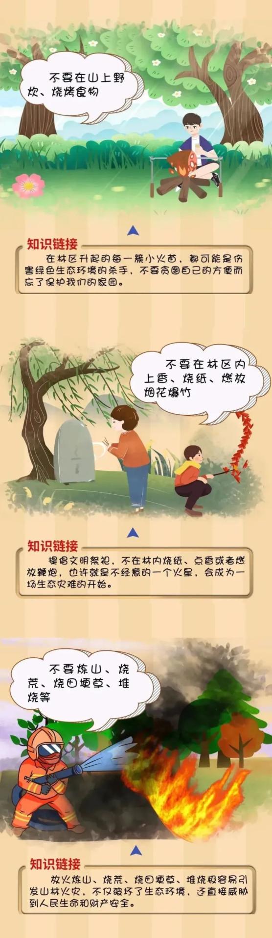 森林防火十禁止图片