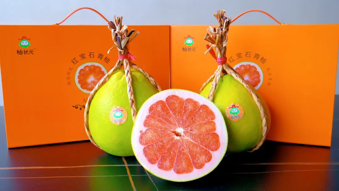 小柚子种出大产业!连州龙坪镇"柚状元"托起致富梦