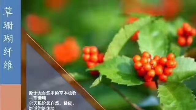 草珊瑚破壁松花粉图片