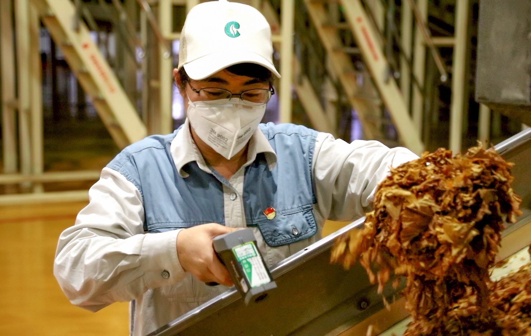 长沙卷烟厂招聘技术员,几乎都是985高才生,其中还有7名女生