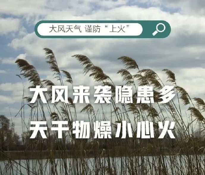 天气回暖大风起,防风防火须注意!