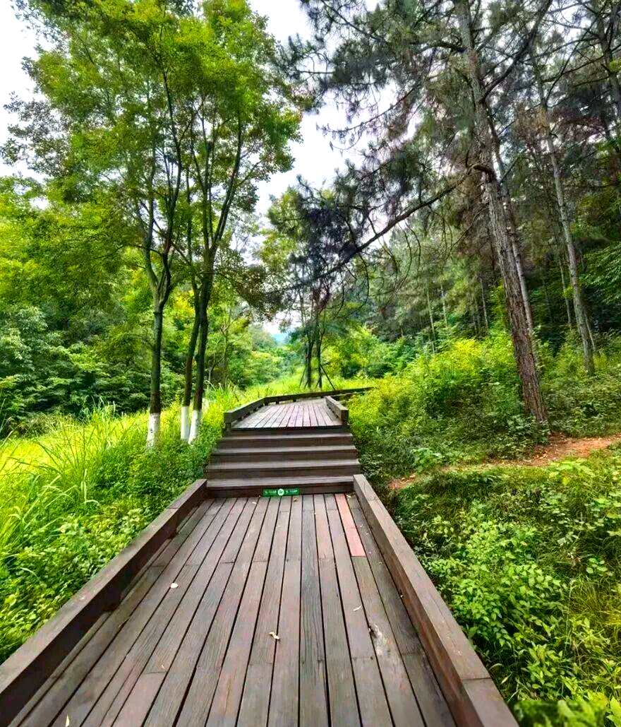 成都近郊的四大徒步路线:探索自然美景与乡村风情