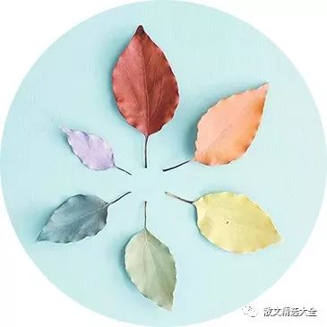 许地山散文命命鸟