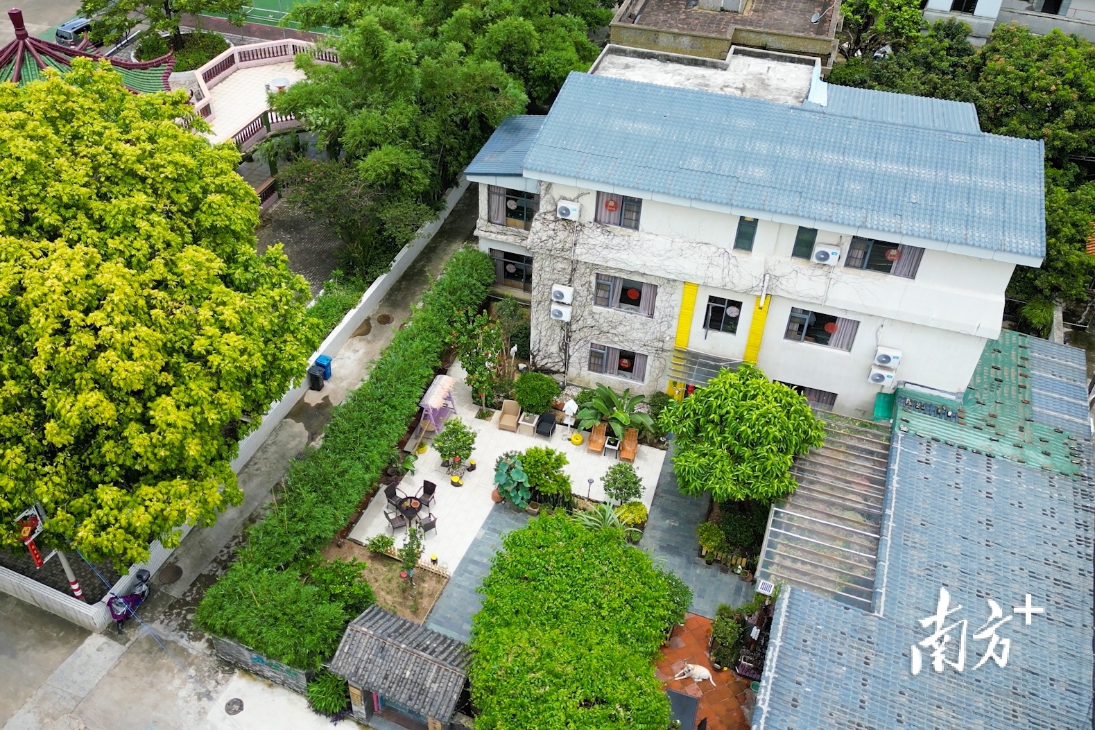 视频|"深漂"返乡,打造中山崖口村特色民宿