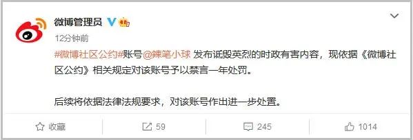 网络大v辣笔小球图片