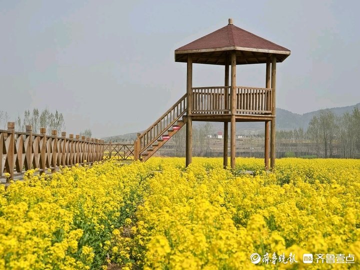 章丘泉城百花园门票图片