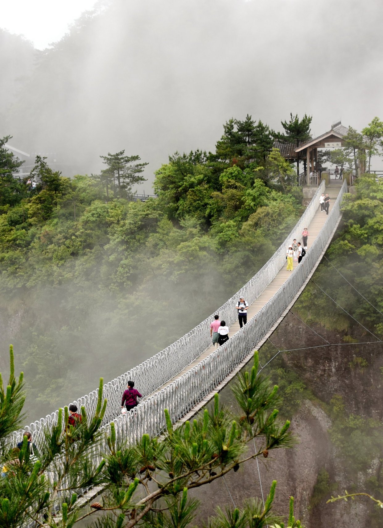 浙江仙居:雨后神仙居 宛如水墨画