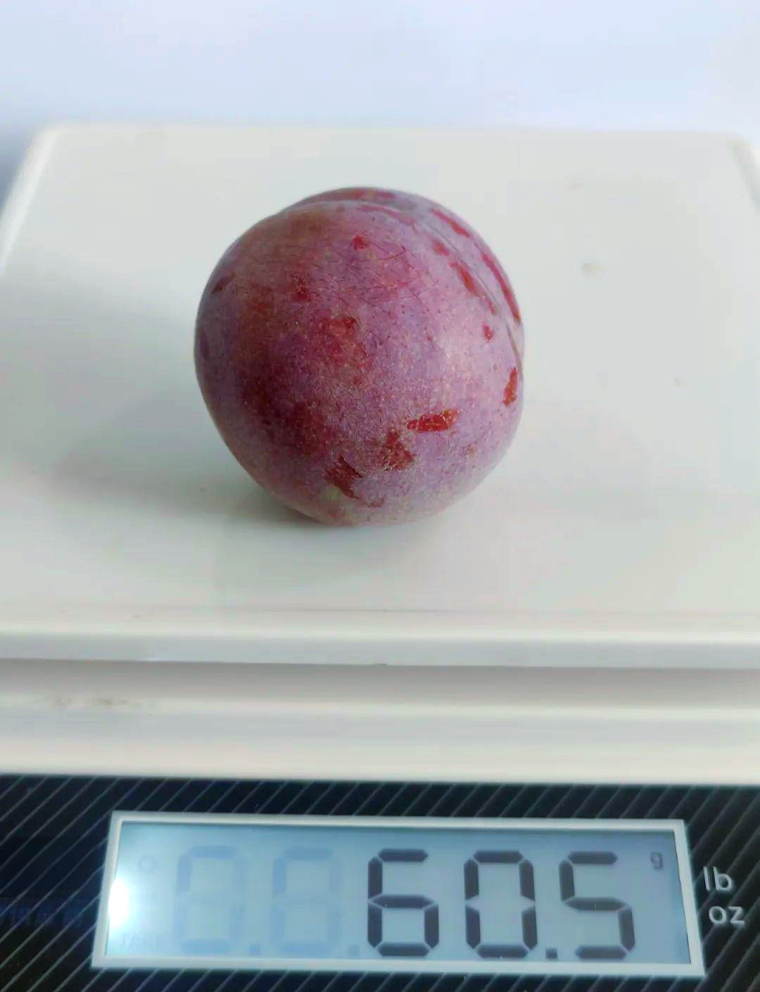 武平芙蓉李分级标准详解,提升品质从果型开始