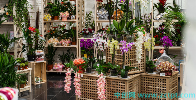 如何开一家花店 开花店的流程 florist's shop/YA