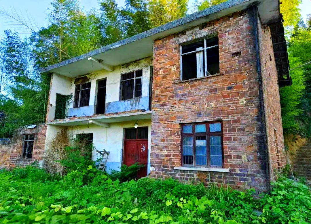 其中,那栋隐藏在树丛中仅露出一角红瓦的房子,以及另一栋已显破败的