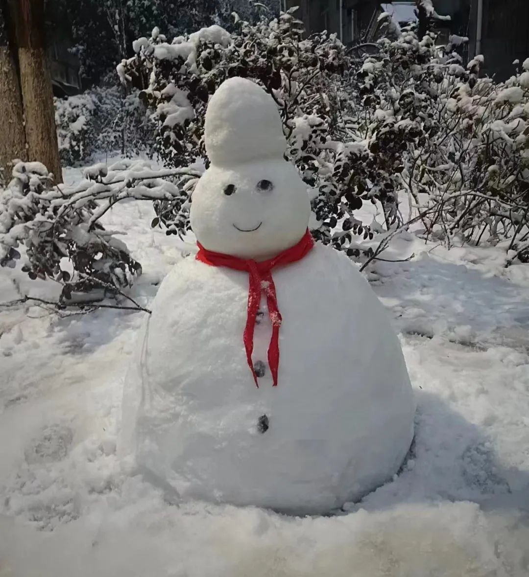 郴州人 朋友圈堆雪人大赛正式开赛