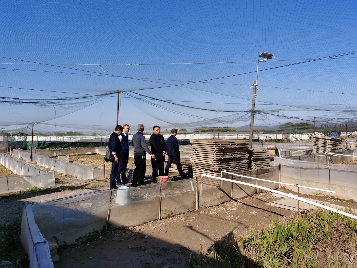 市農業農村局調研指導全市水產養殖種質資源普查工作