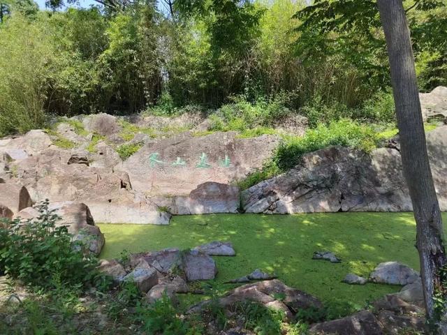 胥山不"虚"|曾是嘉兴市本级唯一的正宗石头山