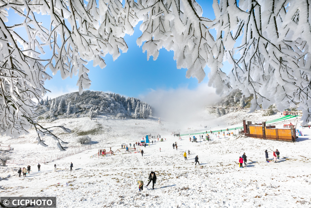 南川金佛山下雪图片