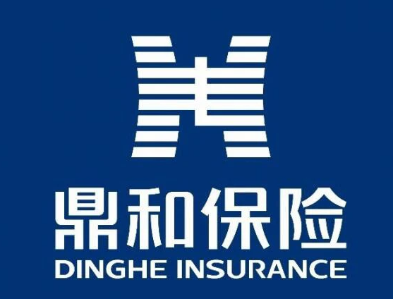 南方电网鼎和保险深入开展主题教育扎实推动产业金融高质量发展