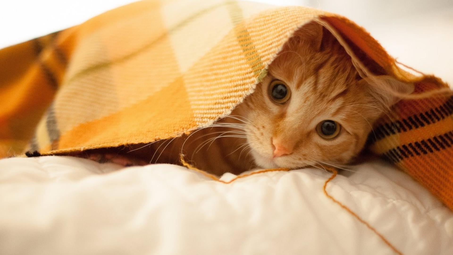 情商很高,但又不喜欢社交的三大星座,太过清醒,从不庸碌的活着