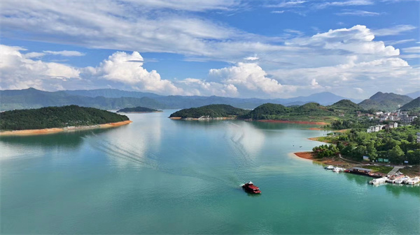 资兴白廊花海图片