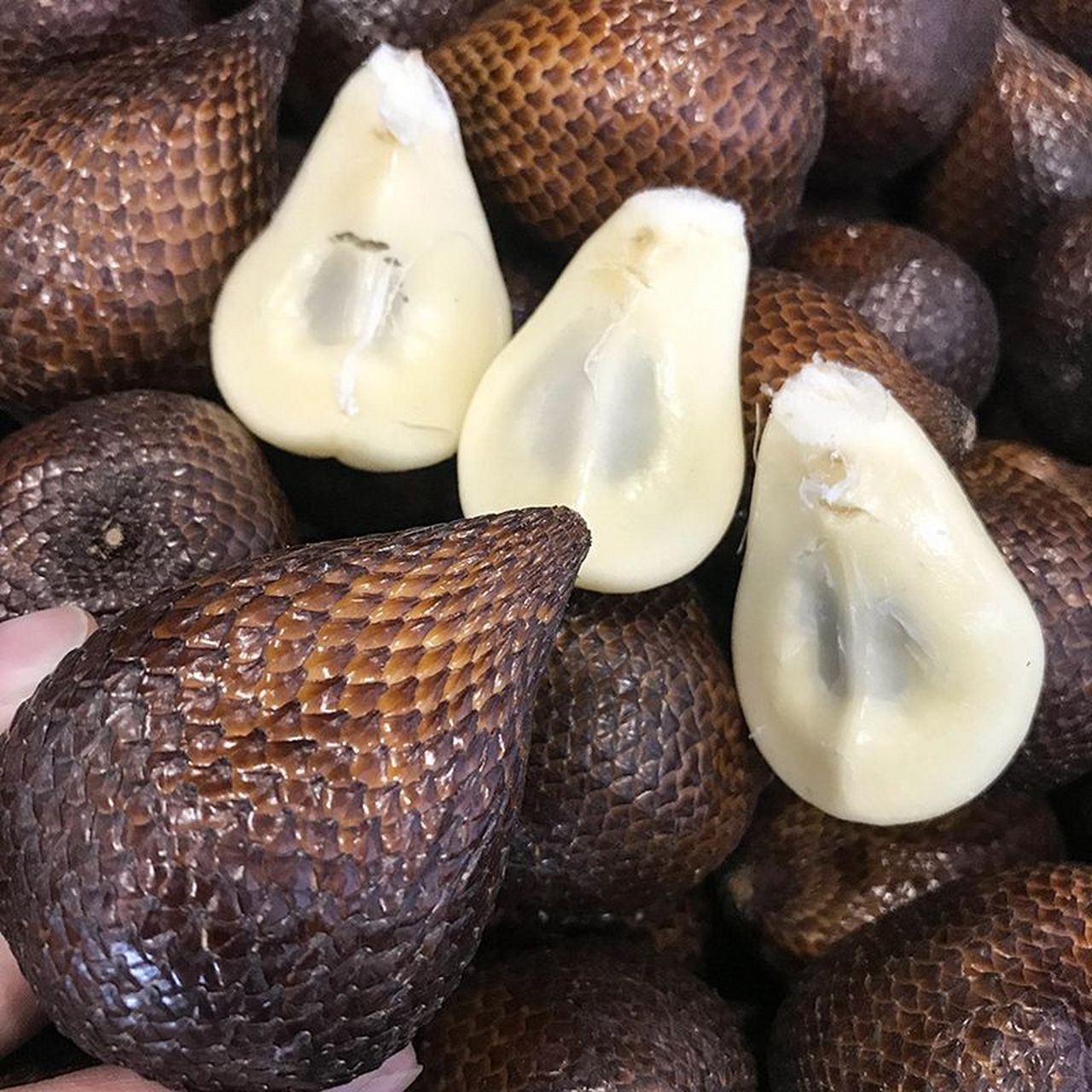 今天我们来聊聊蛇皮果.