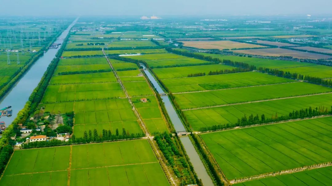 非凡十年|产业蝶变赋能高质量发展,小昆山镇品质提升打造宜居示范镇