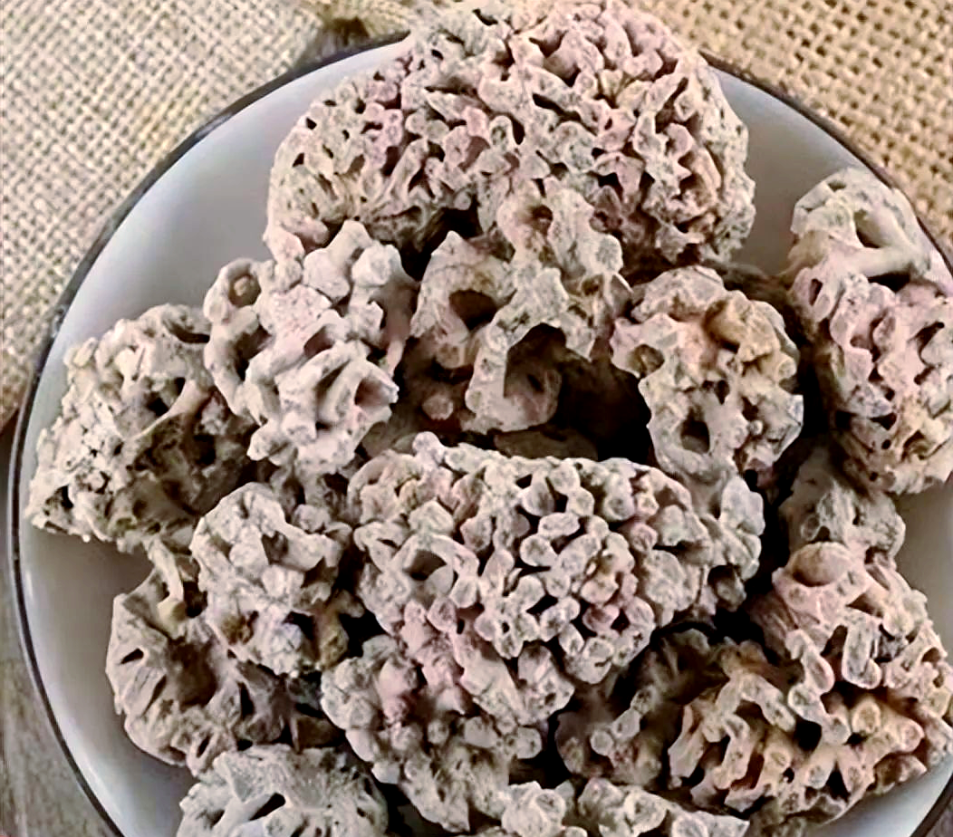 中药材浮海石与浮石的鉴别与特性