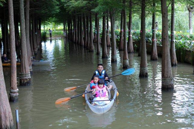 海洪湿地公园划船图片