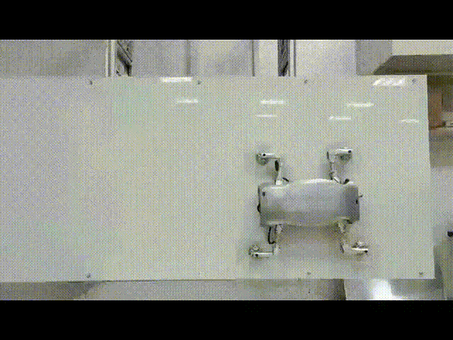 为了造机器人我们搞懂了一个非常重要的事情壁虎脚趾头上的毛是怎么长