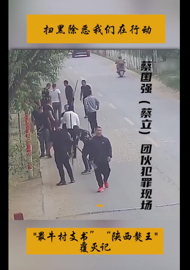 陕西獒王蔡国强图片