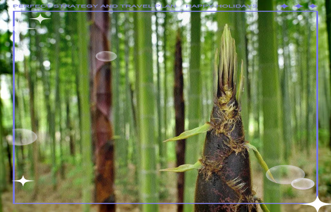 萌发_萌发和萌生的区别(萌发与萌生的区别) 优化资讯 萌发_萌发和萌生的区别 萌发_萌发和萌生的区别 优化资讯 1 萌发_萌发和萌生的区别(萌发与萌生的区别) 优化资讯