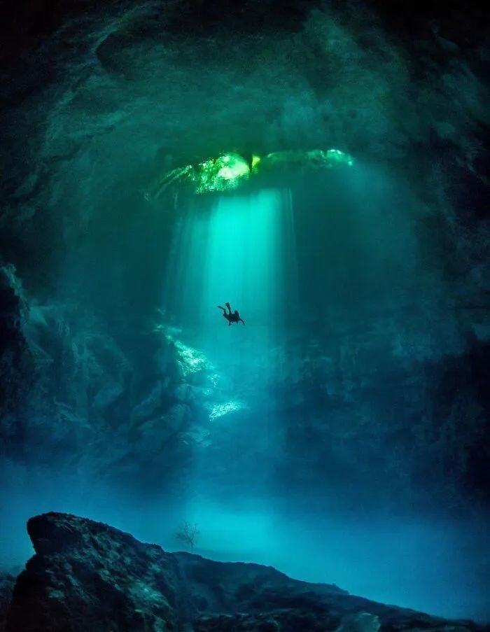 深海恐惧症图片集,探索人类面对未知的内心恐惧