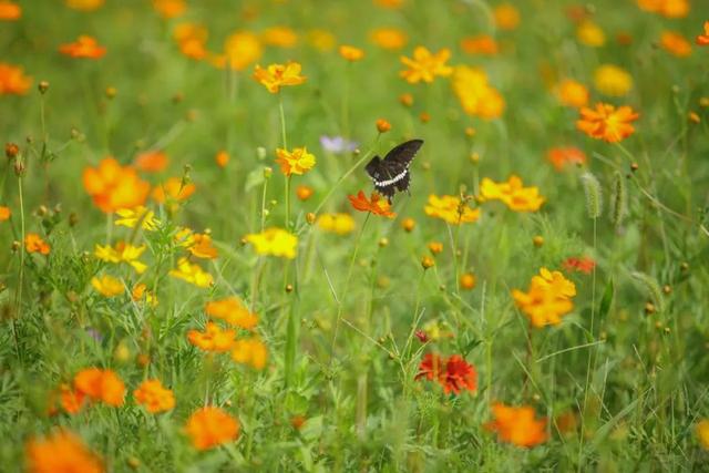 徐汇这里四季有景待春暖花开时美好如约而至爱申活暖心春